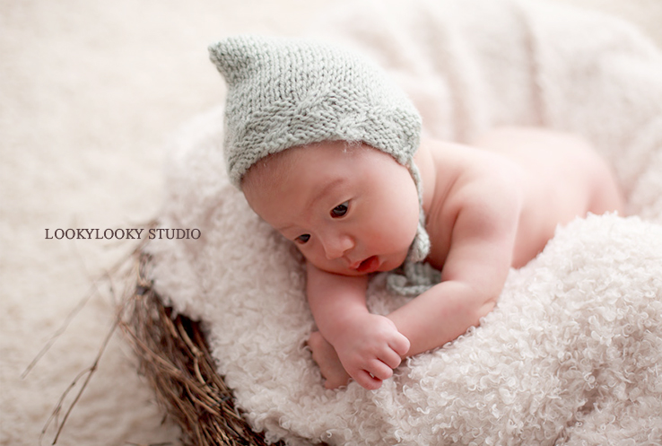 Aliyah baby photogaphy sydney