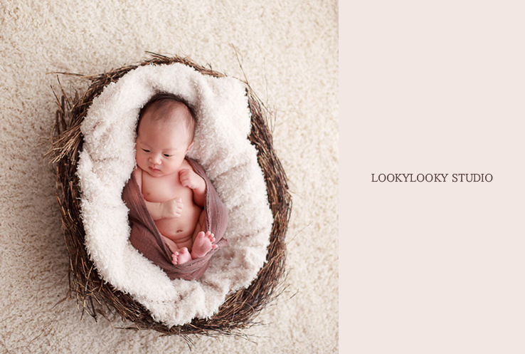 Aliyah baby photogaphy sydney