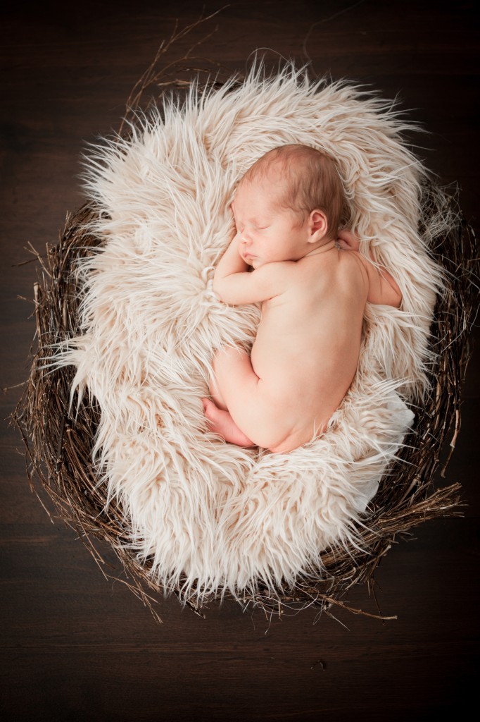 Buy newborn photo shoot sydney