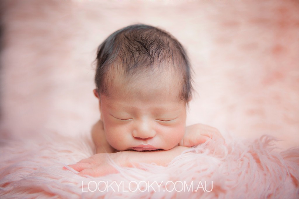 Looky Looky baby photography sydney